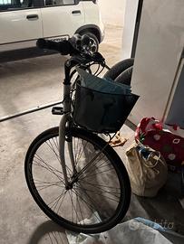 Bicicletta Adriatica