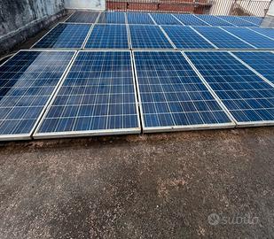 Pannello fotovoltaico 250w Sunerg