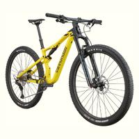 mtb 29 L 2025 cannondale scalpel carbon 4 