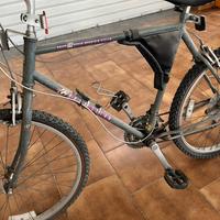 Bici mountain bike professionale