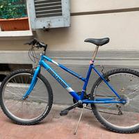 Bicicletta mountainbike