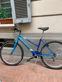 Bicicletta mountainbike