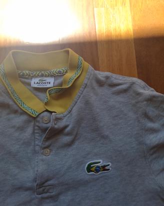 polo Lacoste brasile