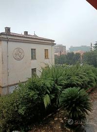 LATINA STANZE A STUDENTI/STUDENTESSE