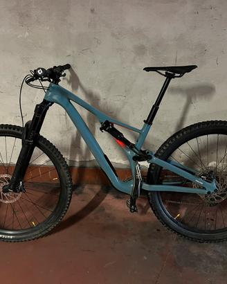 Mountain Bike Stumpjumper 2019 carbon Dpecialized.