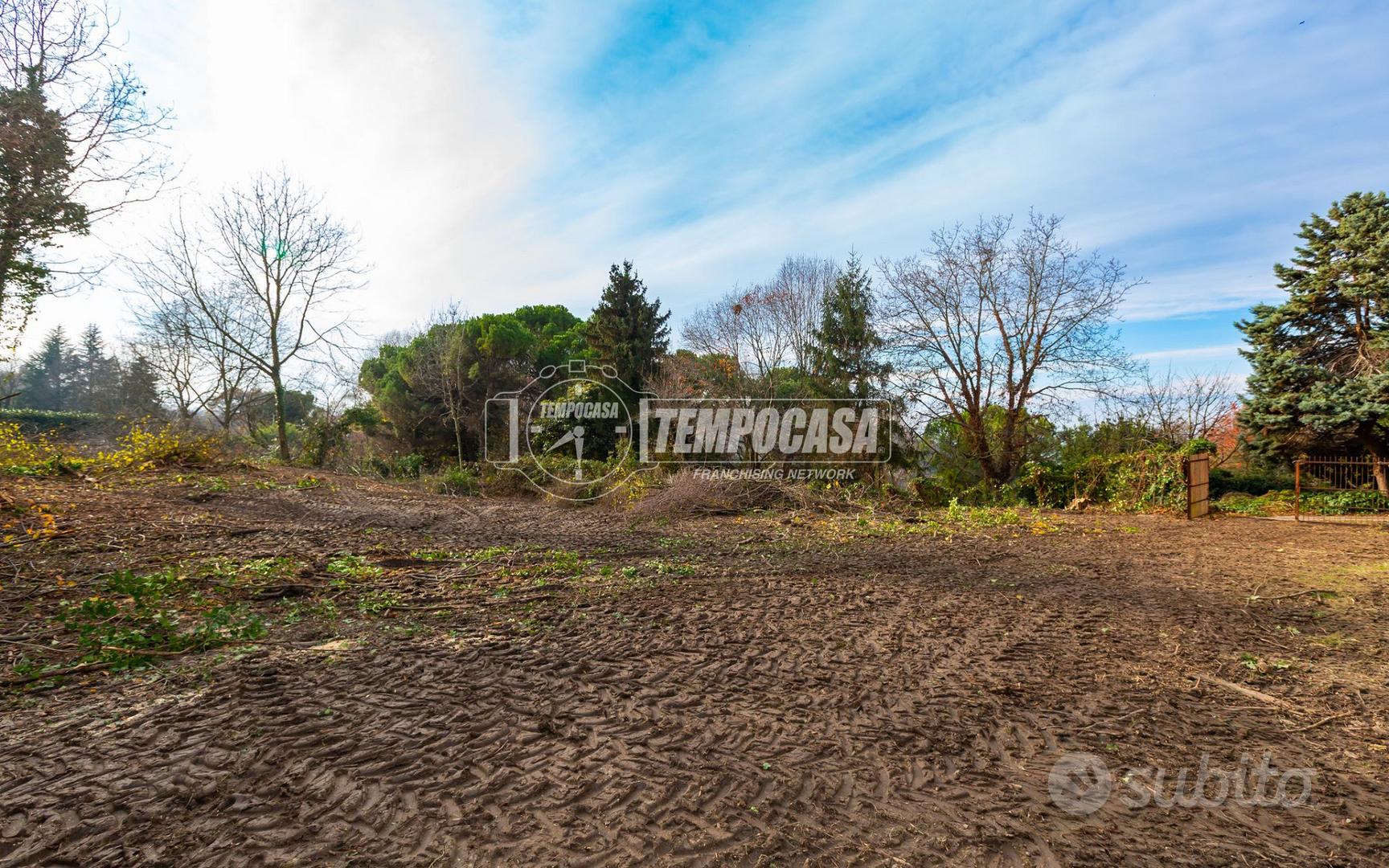 CASTAGNETO PO CASCINA CON TRAVATA E 9.000 MQ DI TE - Vista 3