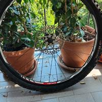 Ruote cerchi con gomme bici da 26 MTB  a disco