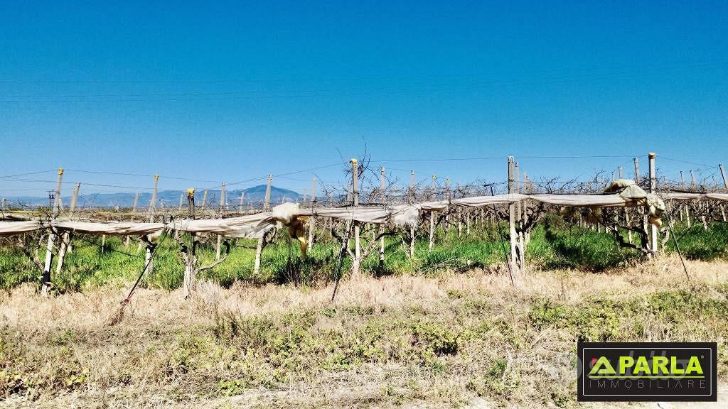 Terreno di 65000 m² a Caltanissetta - Vista 3