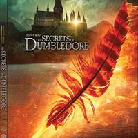 I Segreti di Silente