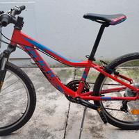 Bicicletta rock machine '24