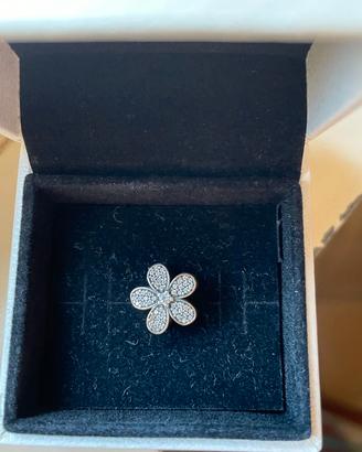Charm Pandora