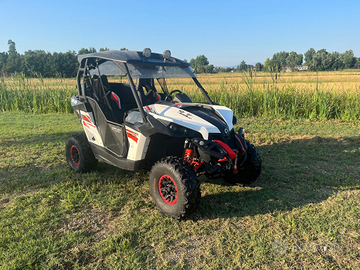 Can -am