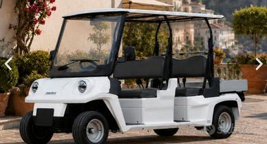 Macchina elettrica MELEX usata 4 posti con cassone