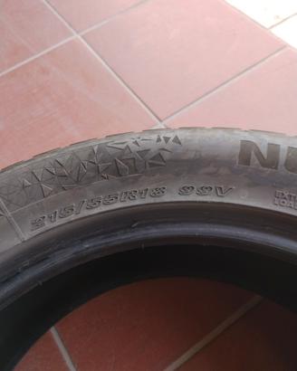 Pneumatici invernali Nexen 