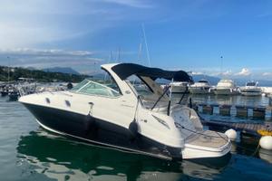 Sea Ray Sundancer 305