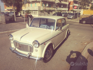 FIAT1100 Special