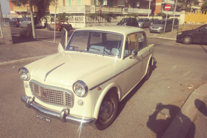 FIAT1100 Special