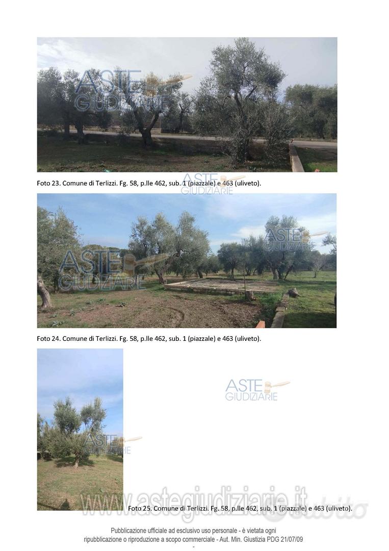 Terreno Agricolo Terlizzi [A4340109] - Vista 4