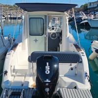 sessa dorado 22