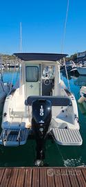 sessa dorado 22