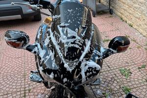 scuter