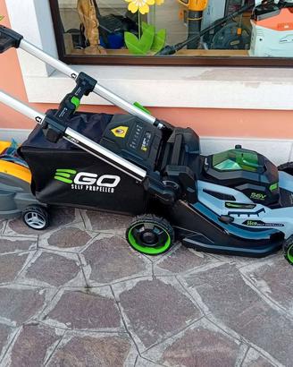 TAGLIA ERBA PROFESSIONALE 