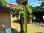 Immagine 6