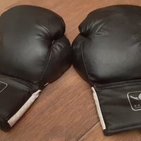 Guantoni per arti marziali