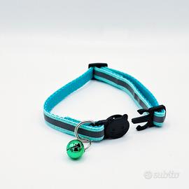 Collare per gattino regolabile azzurro chiaro