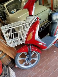 bici elettrica 