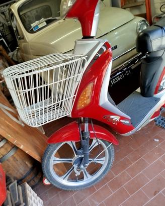 bici elettrica 