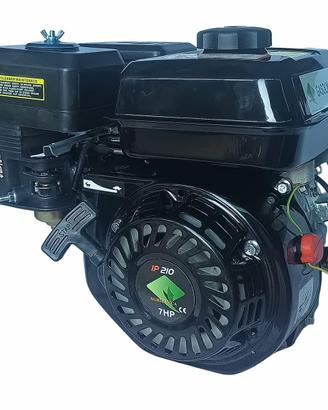 Motore a scoppio IP210 7hp