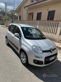 New panda