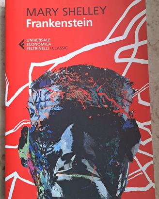 Libro Frankestein Mary Shelley