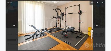 Palestra