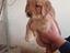 Immagine 4