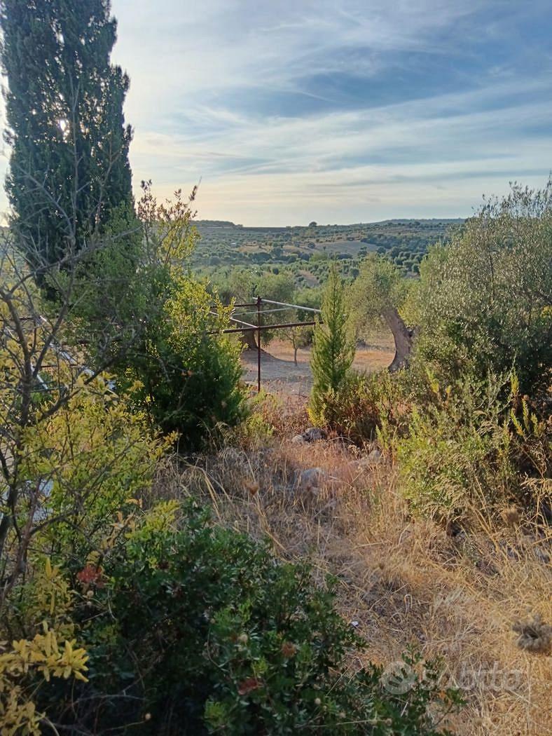 Terreno Agricolo Crispiano [Cod. rif 3386097VRG] - Vista 2