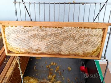 Materiale apistico per cessata attività 