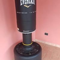 sacco da boxe everlast