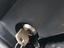 Immagine 27