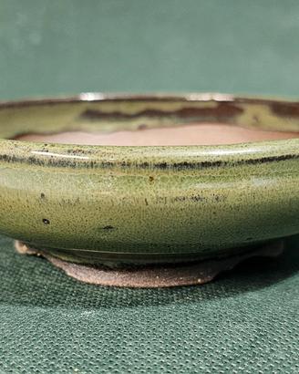 Vaso bonsai n.83