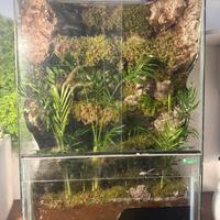 Terrario 45x70x30