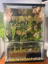 Terrario 45x70x30