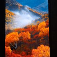 Samsung Galaxy A34 nero 5G + Cover Magnetica