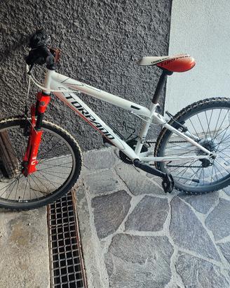bicletta 