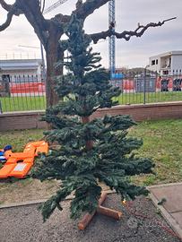 albero di natale