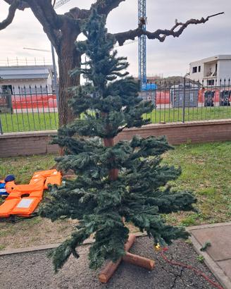 albero di natale