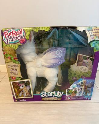 Starlily Interattivo