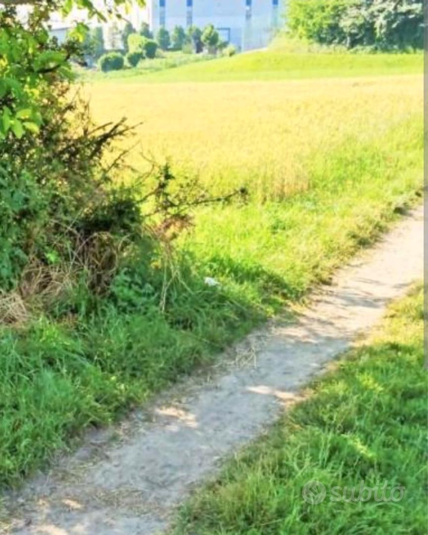 Terreno agricolo - Vista 2