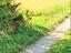 Immagine 2
